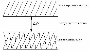 Размер полового члена